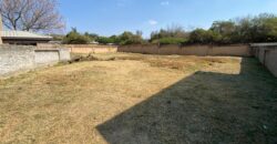 VACANT FULL-TITLE CORNER STAND FOR SALE – 500m² – SECURITY ESTATE – MONTANA PARK